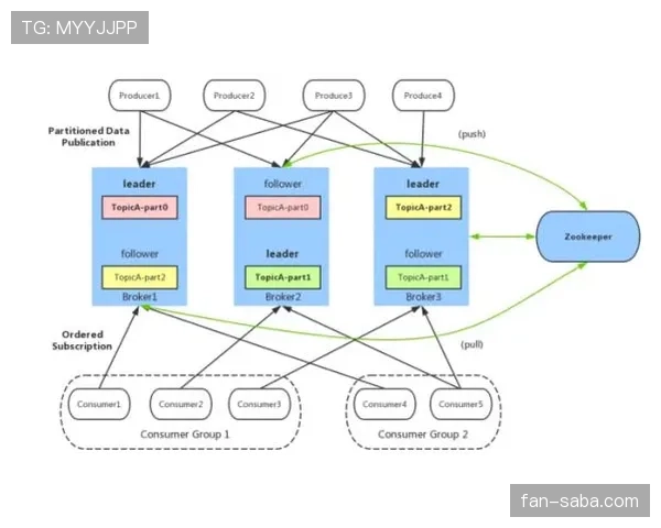 帕利尼亚与赖斯覆盖能力及全面性对比分析