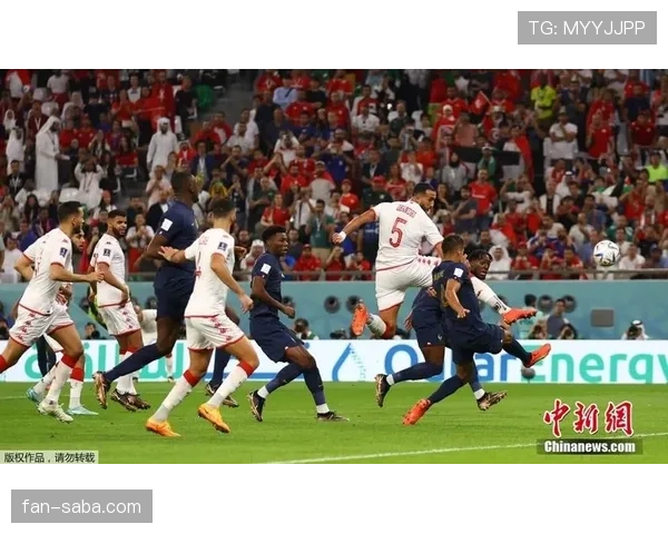 突尼斯F组比赛结果预测